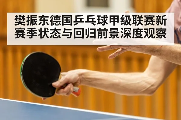 樊振东德国乒乓球甲级联赛新赛季状态与回归前景深度观察 | kaiyun