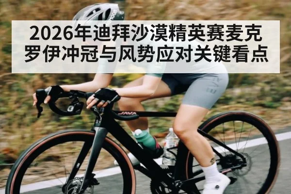 2026年迪拜沙漠精英赛麦克罗伊冲冠与风势应对关键看点（kaiyun）